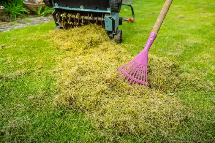 Affordable Yard Cleaning Services Lafayette OR Affordable Yard Cleaning Services Lafayette OR