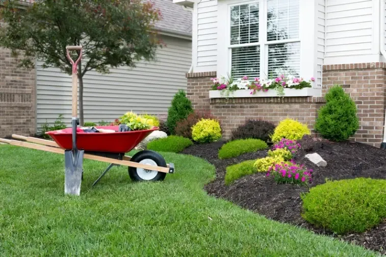 How Professional Yard Cleaning Boosts Property Value Lafayette OR How Professional Yard Cleaning Boosts Property Value Lafayette OR