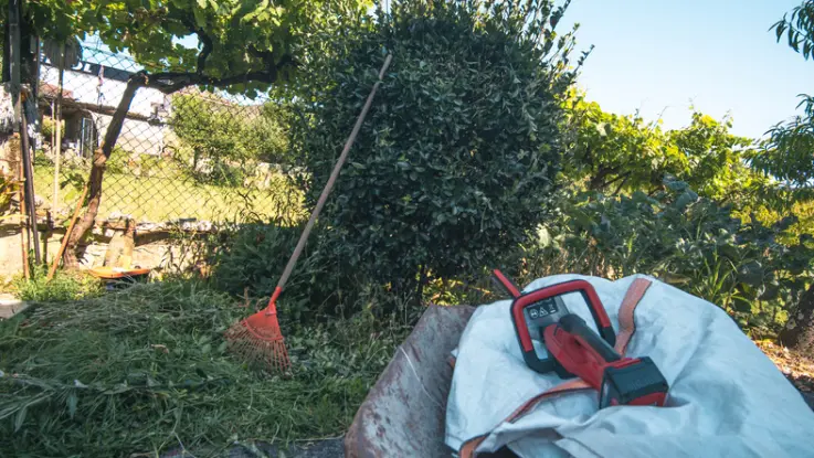 How To Choose The Right Yard Cleaning Service For Your Needs in Lafayette OR How To Choose The Right Yard Cleaning Service For Your Needs in Lafayette OR