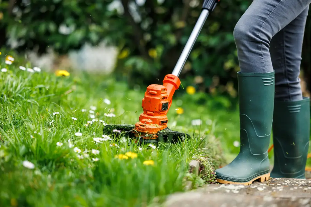 Lawn Care Tools Every Professional Landscaper Needs in Lafayette OR Lawn Care Tools Every Professional Landscaper Needs in Lafayette OR
