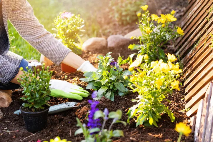 Tips For Choosing The Right Gardening Service For Your Needs Lafayette OR Tips For Choosing The Right Gardening Service For Your Needs Lafayette OR
