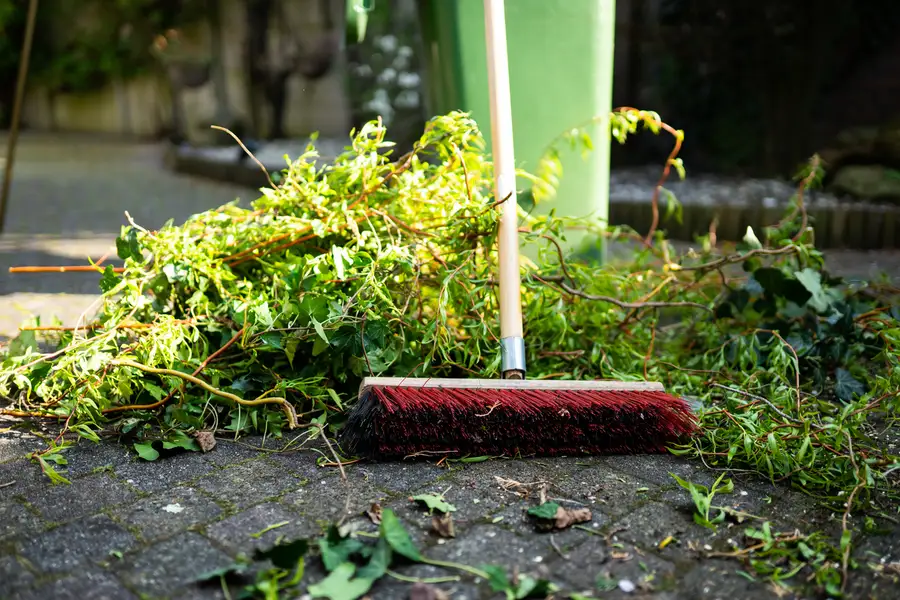 Top-rated Yard Cleaning Services Lafayette OR Top-rated Yard Cleaning Services Lafayette OR