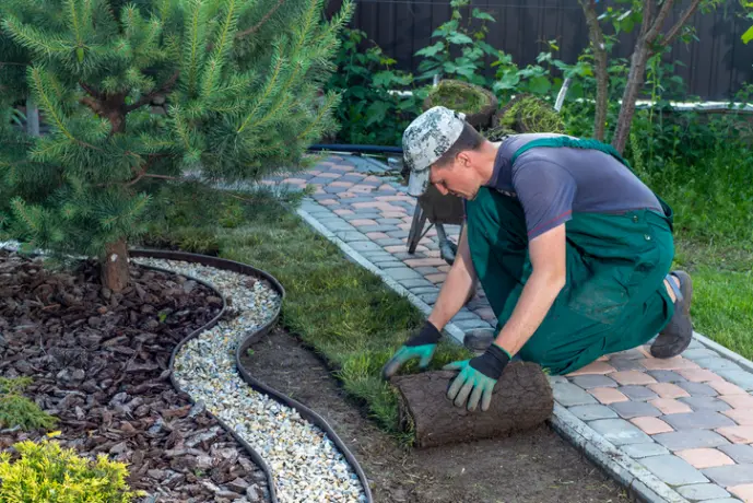Why You Should Invest In Professional Gardening Services in Lafayette OR Why You Should Invest In Professional Gardening Services in Lafayette OR